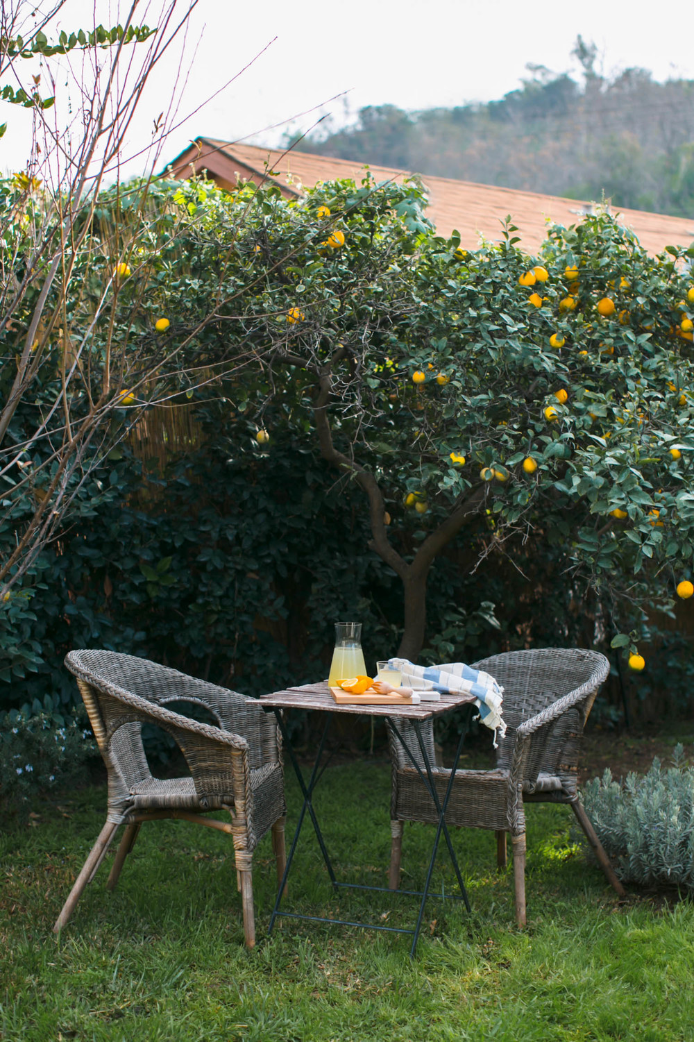 Monica Wang Photography-100.jpg