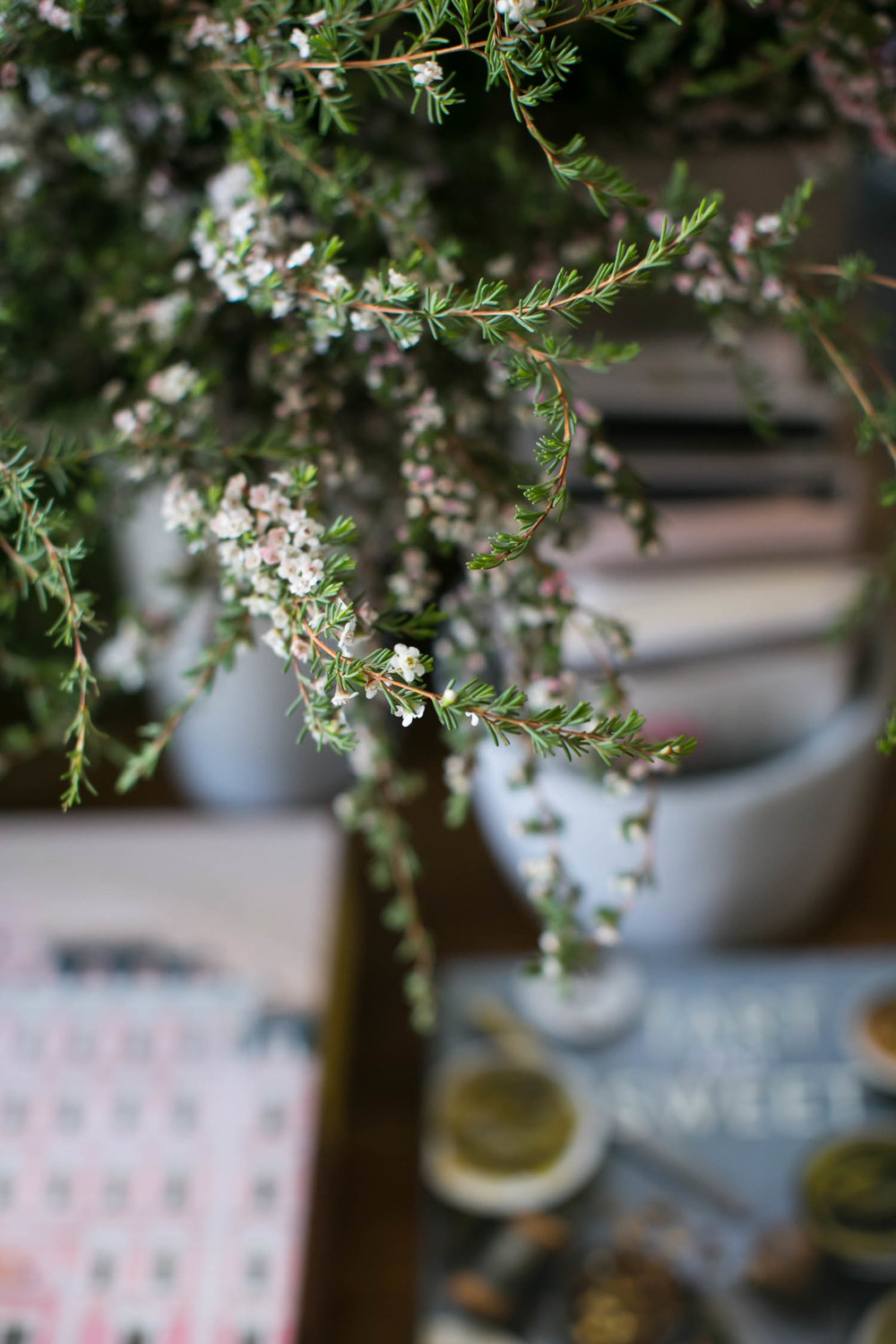 Monica Wang Photography-120.jpg