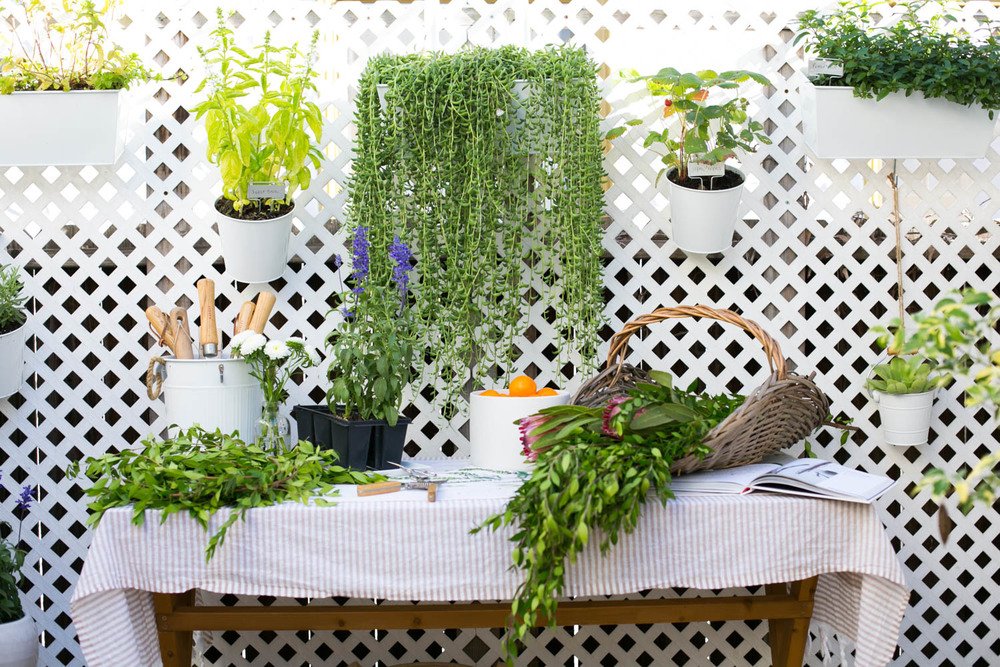 Monica Wang Photography-26.jpg