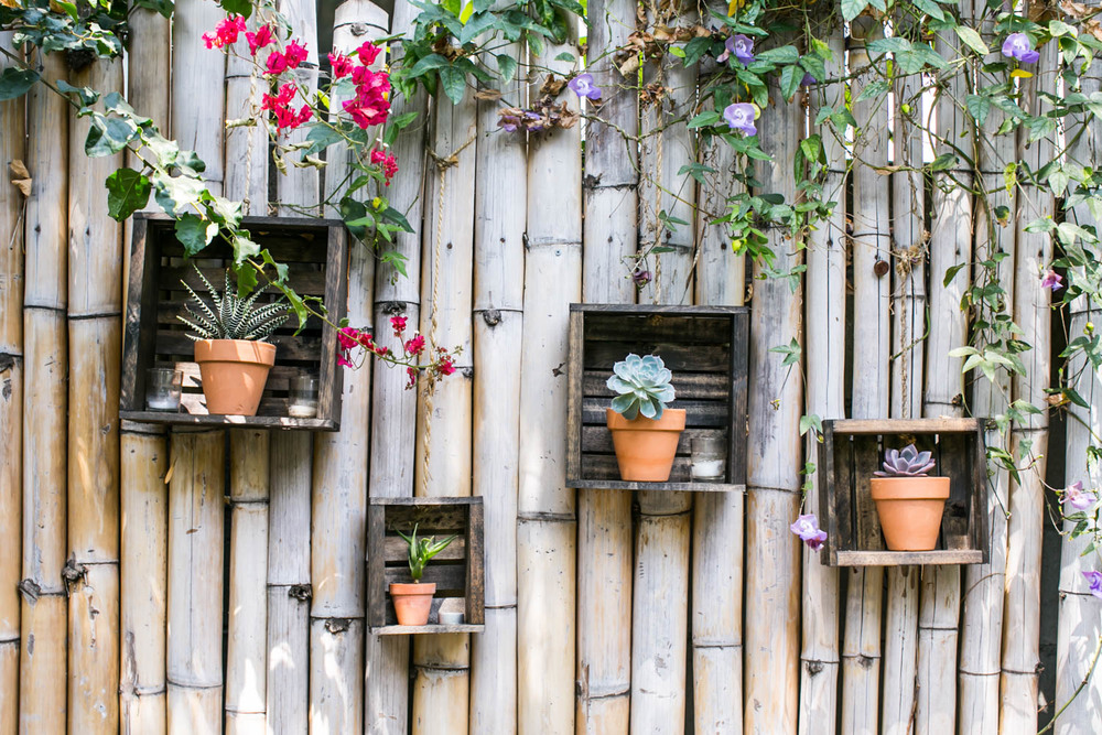 Monica Wang Photography-82.jpg